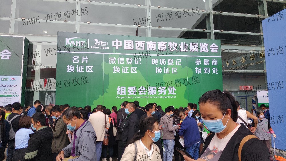 2020年精彩回顾
