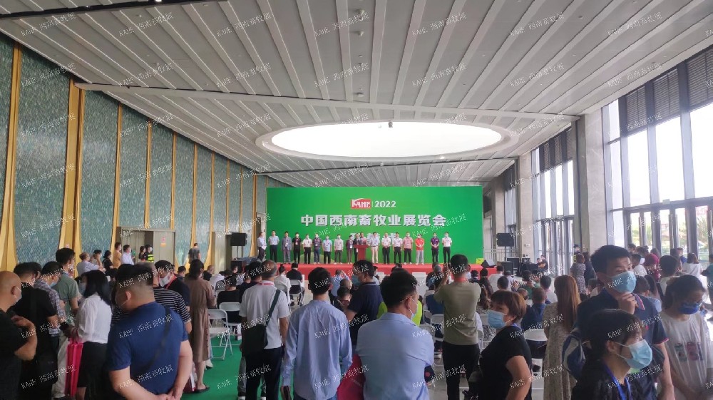 2021-2022年精彩回顾