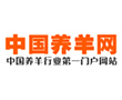 中国养羊网