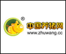 中国养猪网